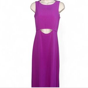 Vibrant Purple Dress